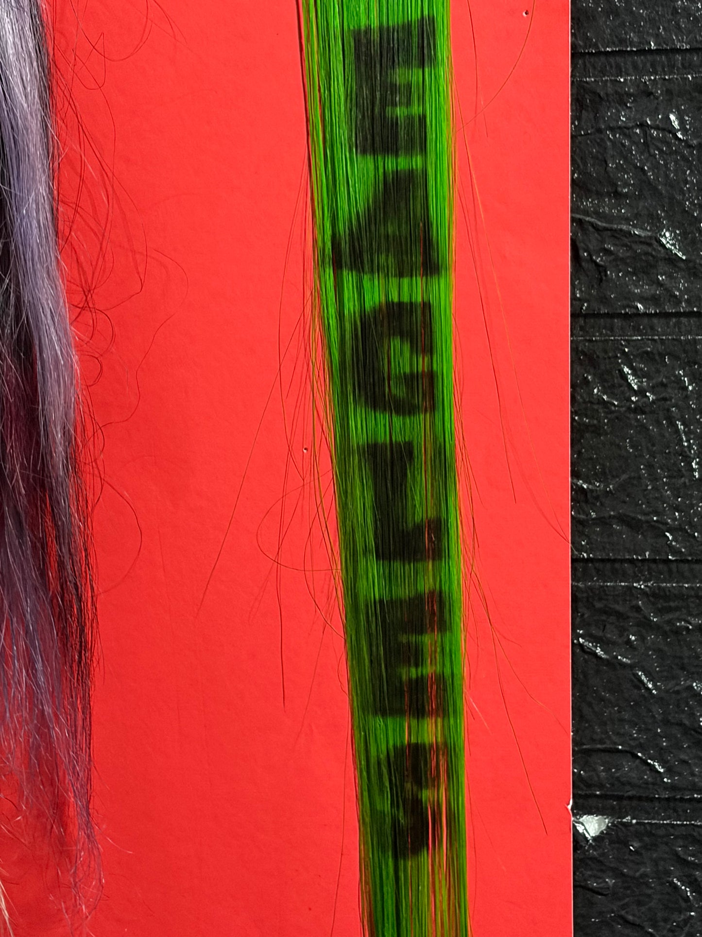 How about them E.A.G.L.E.S!!