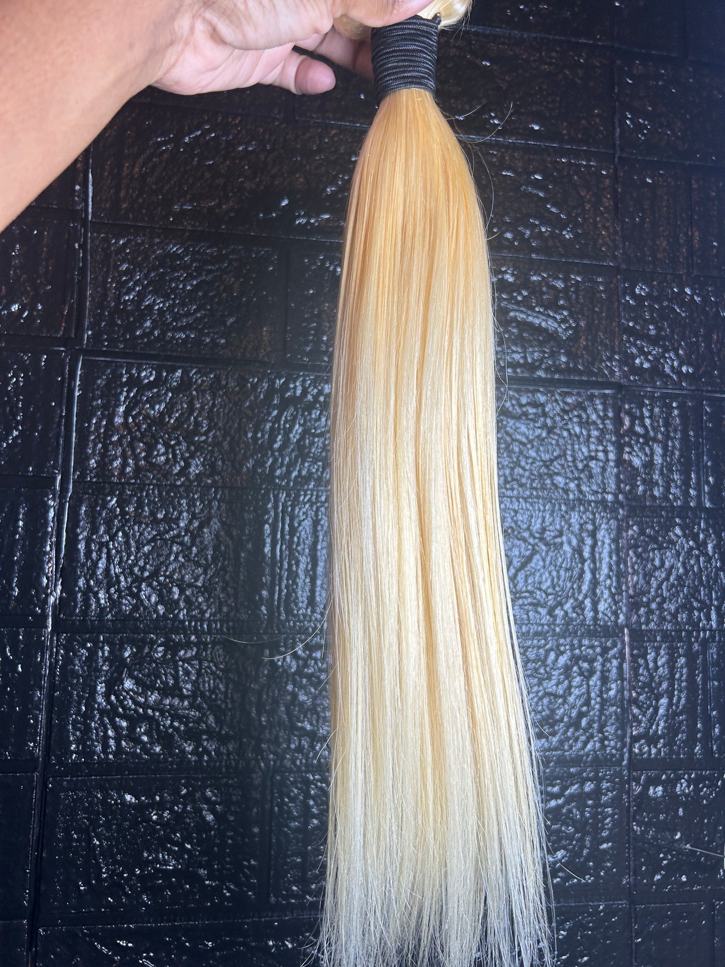 Blondie Bundles TR