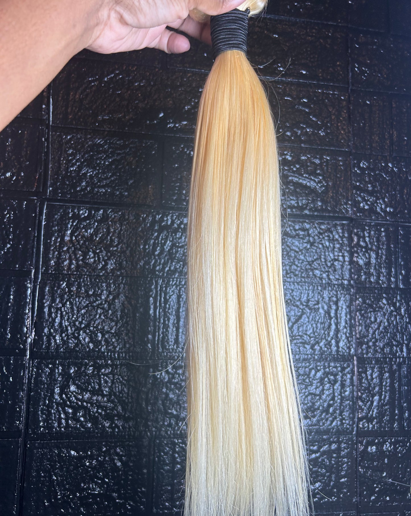 Blondie Bundles TR
